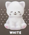 white cat