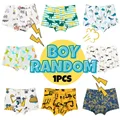 1Pcs Boxer Try