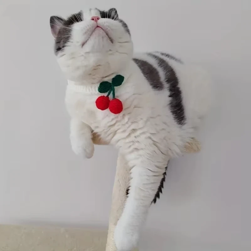 Collar para mascotas, Collar tejido a mano para gatos con decoración de cereza, bonito Collar para gatos, suministros para gatos, ошейв для ceiек para ga - imagen 5