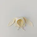 White Bunny Ear