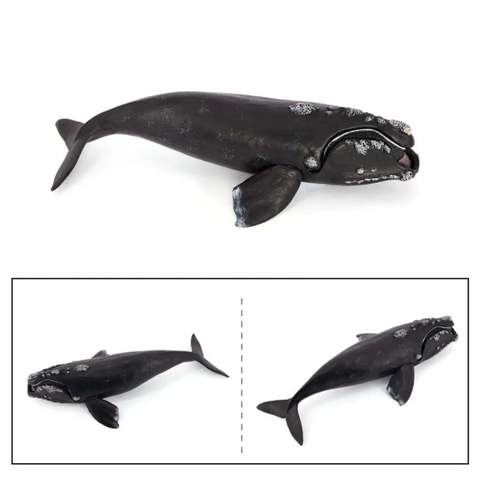 Whale Action Figure Aquarium Simulation Role Play Sea Life Realistic Sea Model for Toddlers Children Kids Boys Girls Gift