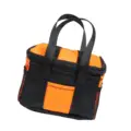 Orange Handbag