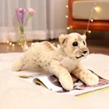 lion HB