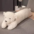 dog white