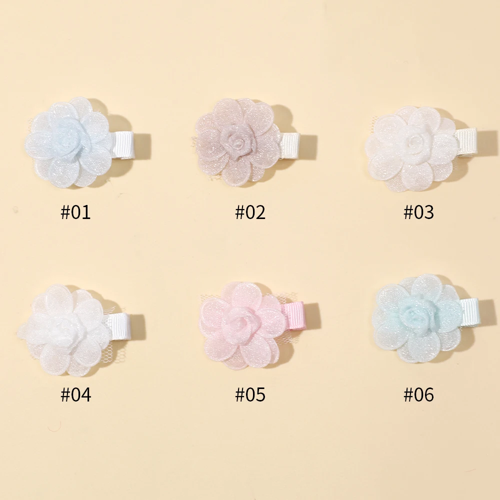 6pcs