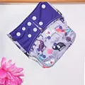 CP11 cloth diaper