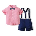 tzd3539-Pink