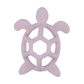 Hollow Turtle 1