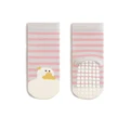 Cute duck