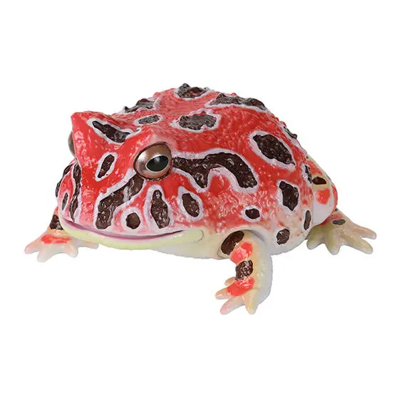 Red Horned Frog