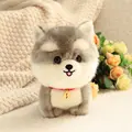 husky dog