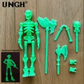 Skeleton green