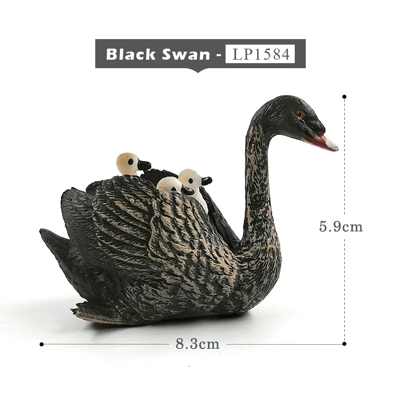 Black Swan