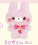 Rabbit Pink
