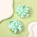 813-19 hair hoop