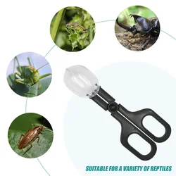 Set de herramientas de observación de insectos para niños pequeños