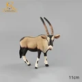 Antelope