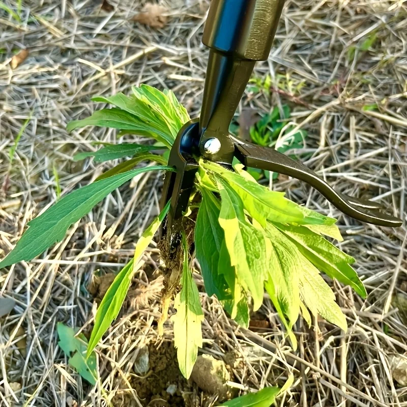 Extractor de malas hierbas de 4 garras – Herramienta ergonómica para jardín - imagen 4