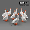 White Goose -A