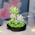 385PCS