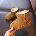 Brown-1753