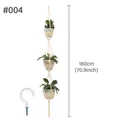 Plant Hanger 4