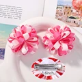 4890-5 hair clips