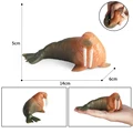 Walrus