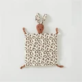 rabbit-6
