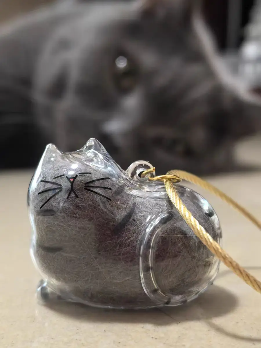 En stock, cápsula de enlace brillante, juguetes kawaii transparente, contenedor de piel de mi mascota, colgante de gato Siamese Tabby Hachi, figuras de colección - imagen 5