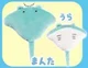 Manta ray