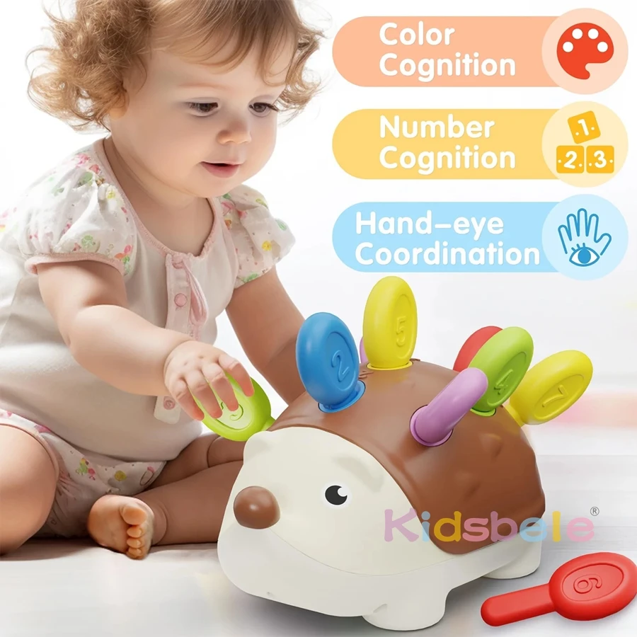 Juguetes sensoriales Montessori para bebé erizo: desarrollo motor - imagen 2
