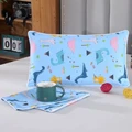 11-pillowcase-1pc