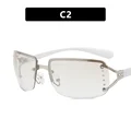 C2