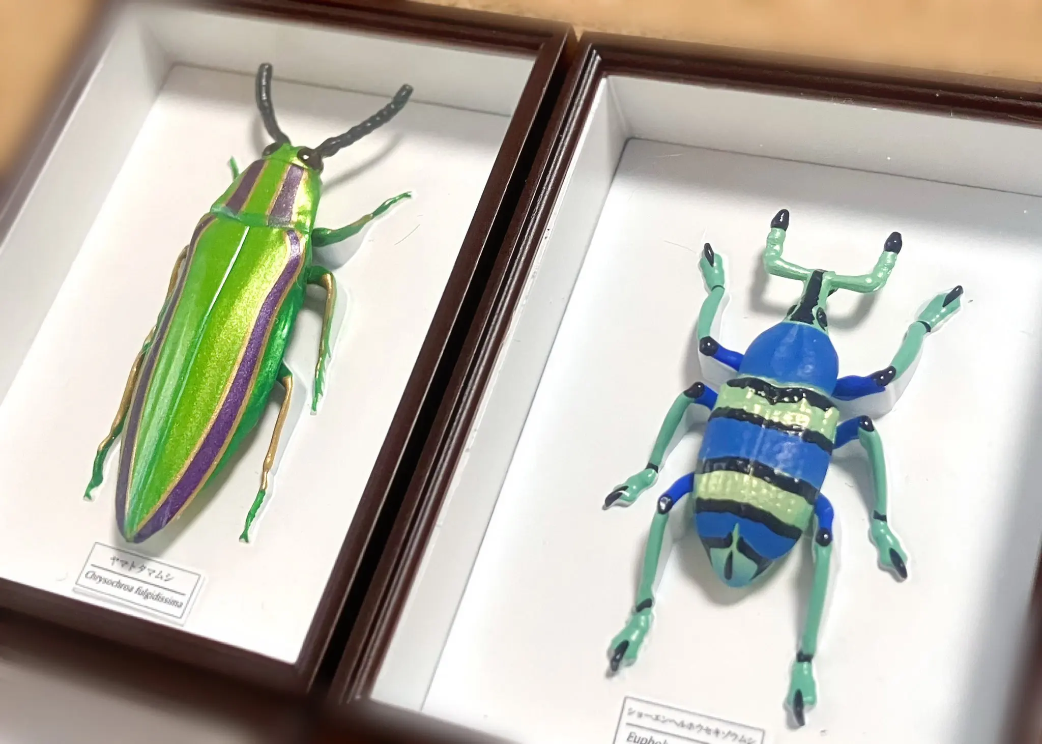 IKIMON imanes de insectos para caja sorpresa estilo alemán mini - imagen 3