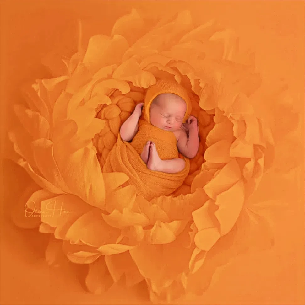 Almohada floral gigante suave cómoda para foto de recién nacido - imagen 5