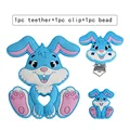 Rabbit Set5
