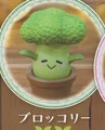 Broccoli