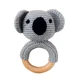 koala B