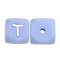 10pcs T