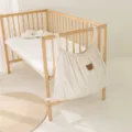 Beige Bear
