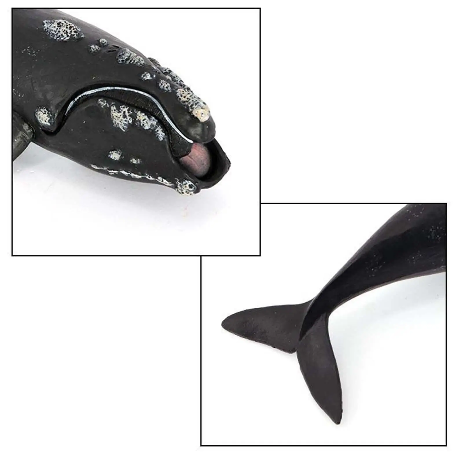 Whale Action Figure Aquarium Simulation Role Play Sea Life Realistic Sea Model for Toddlers Children Kids Boys Girls Gift