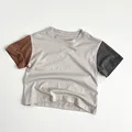 23077-Grey apricot