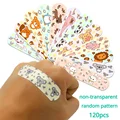 non-transparent 120p