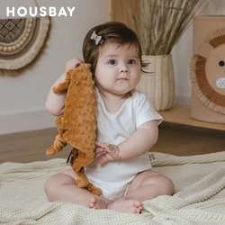 Manta de bebé para recién nacido, toalla tranquilizadora, manta de seguridad de 1 pieza, paño facial suave de terciopelo Doudou para invierno, chupete para colgar