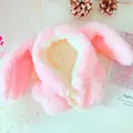 pink-Rabbit