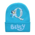 BLY 676-BLY 100