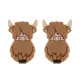 50pcs Camel