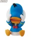 sailor duck