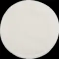 NP07
